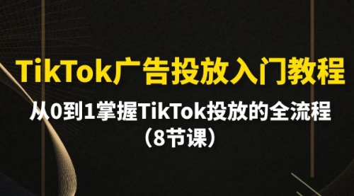 【第2324期】TikTok广告投放入门教程，从0到1掌握TikTok投放的全流程（8节课）